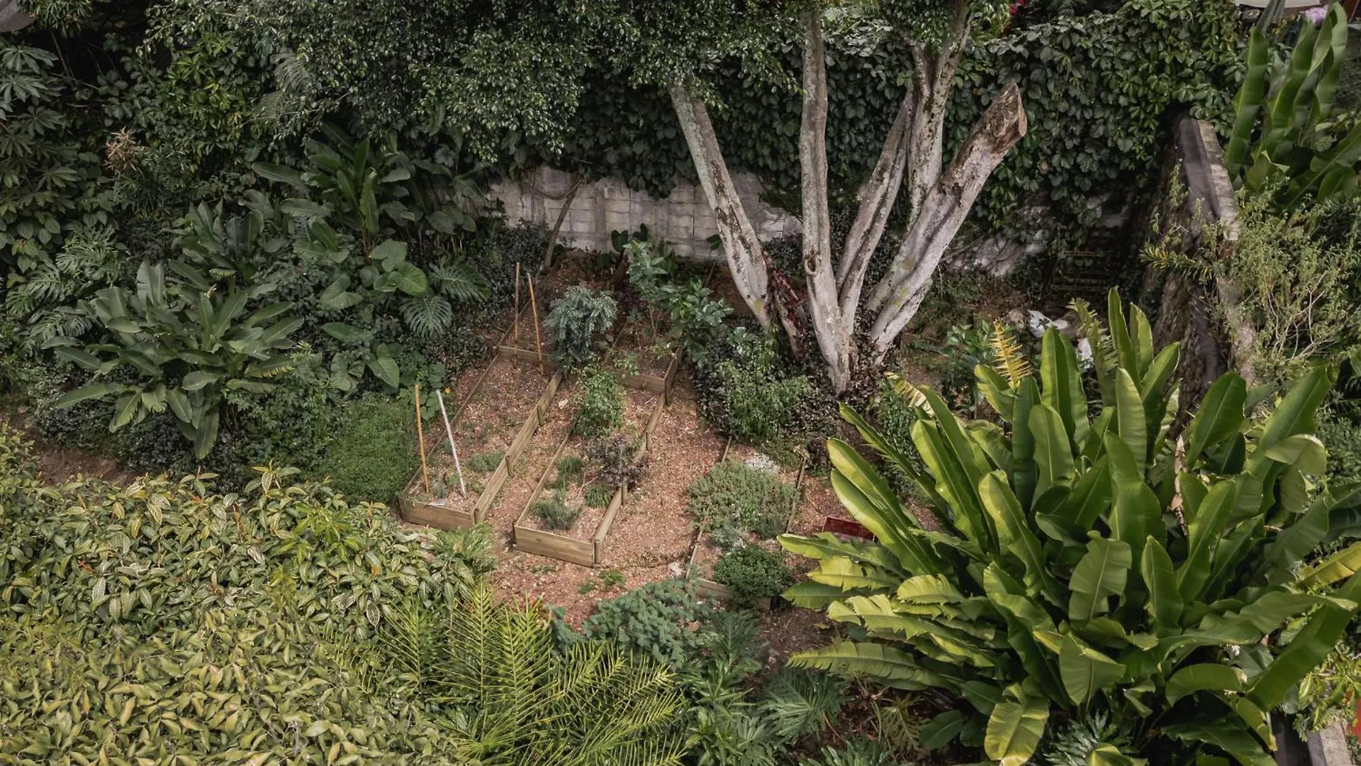 Ep Casa Uribe Architecture Art & Nature Medellin Colombia