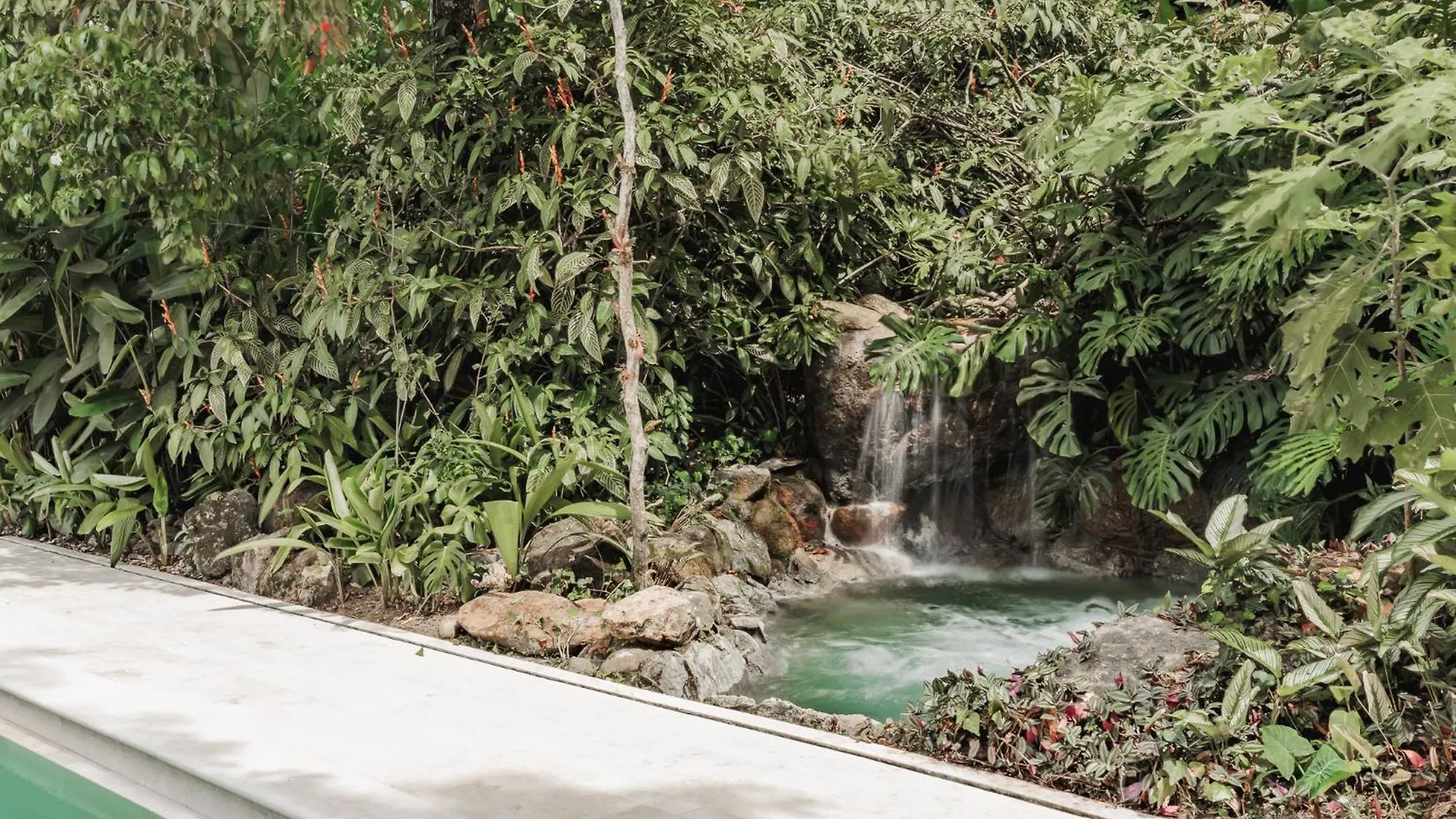 Ep Casa Uribe Architecture Art & Nature Medellin Holiday home